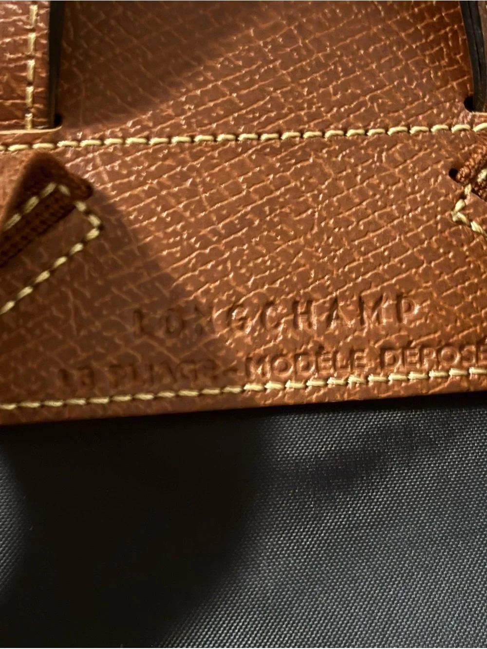 Longchamp Black Nylon Backpack with Brown Leather Trim
